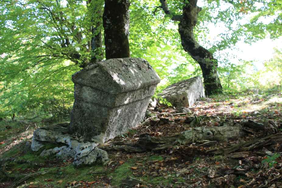Nekropola sa stećcima na lokalitetu Ograda (Vlah), historijsko područje